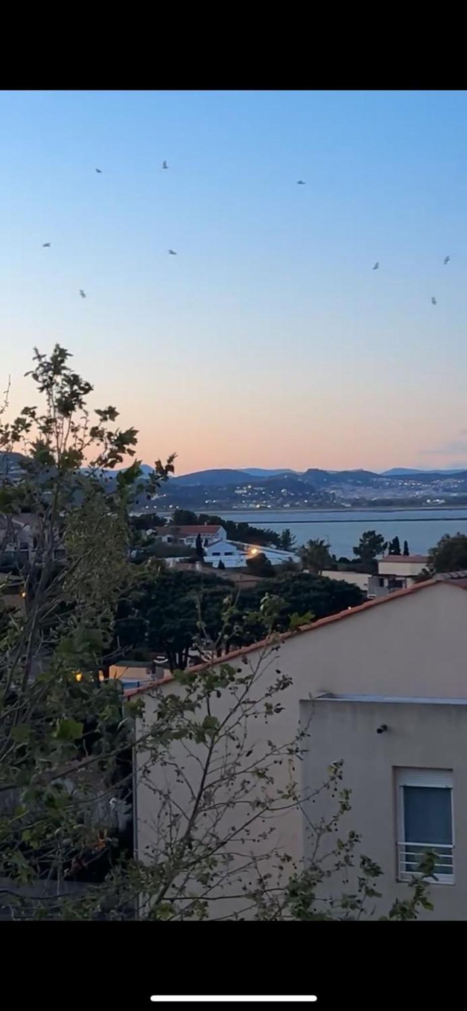 Superbe Duplex Refait A Neuf ! Lägenhet Hyères Exteriör bild
